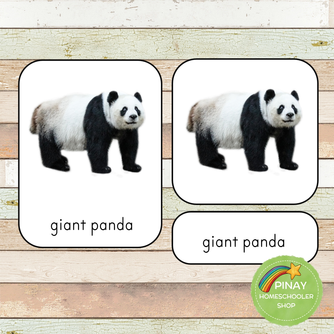 Montessori Endangered Land Species Toob 3 Part Cards [EDITABLE]