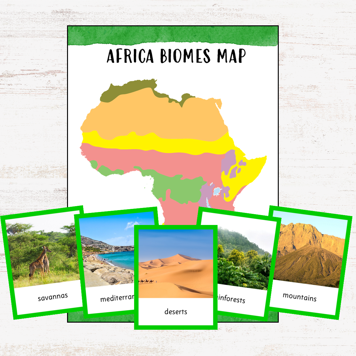 Africa in a Nutshell