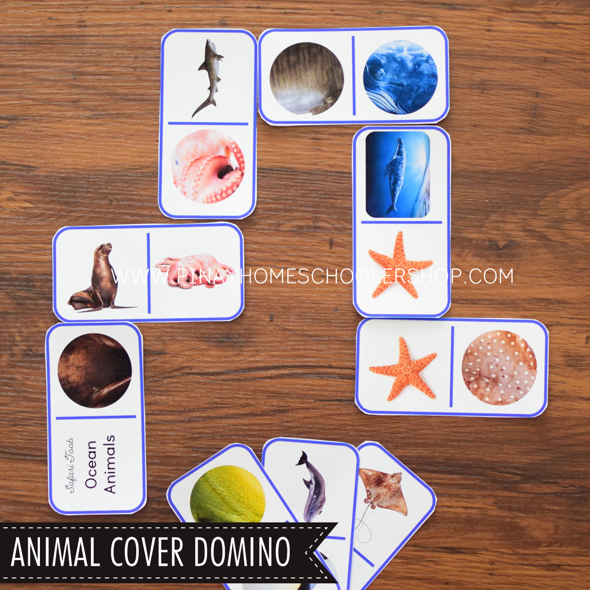Ocean Animals Activity Pack - Safari Toob