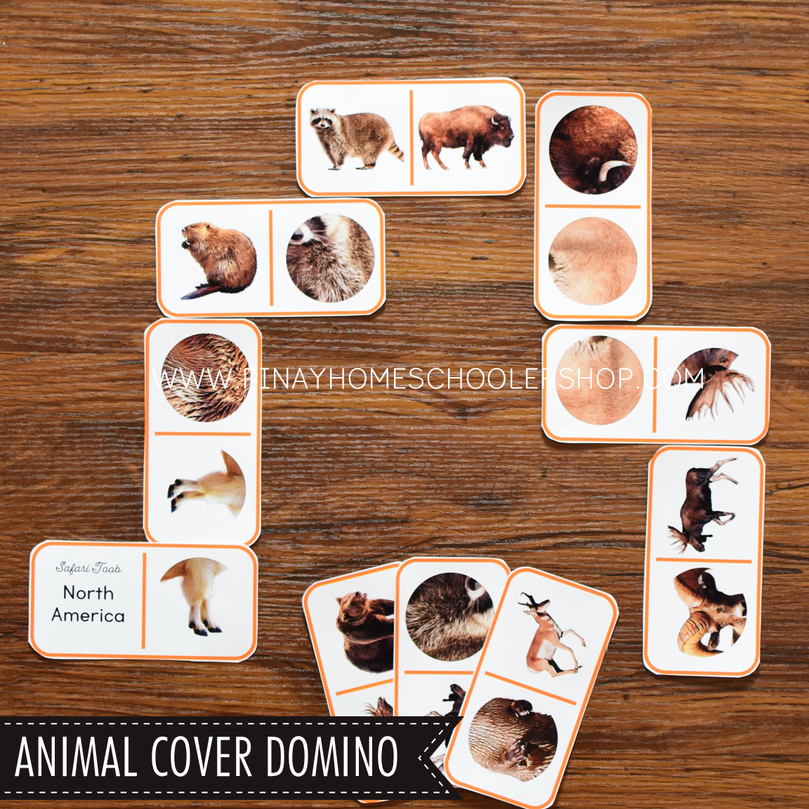 North America Toob Activity Pack - Safari Toob