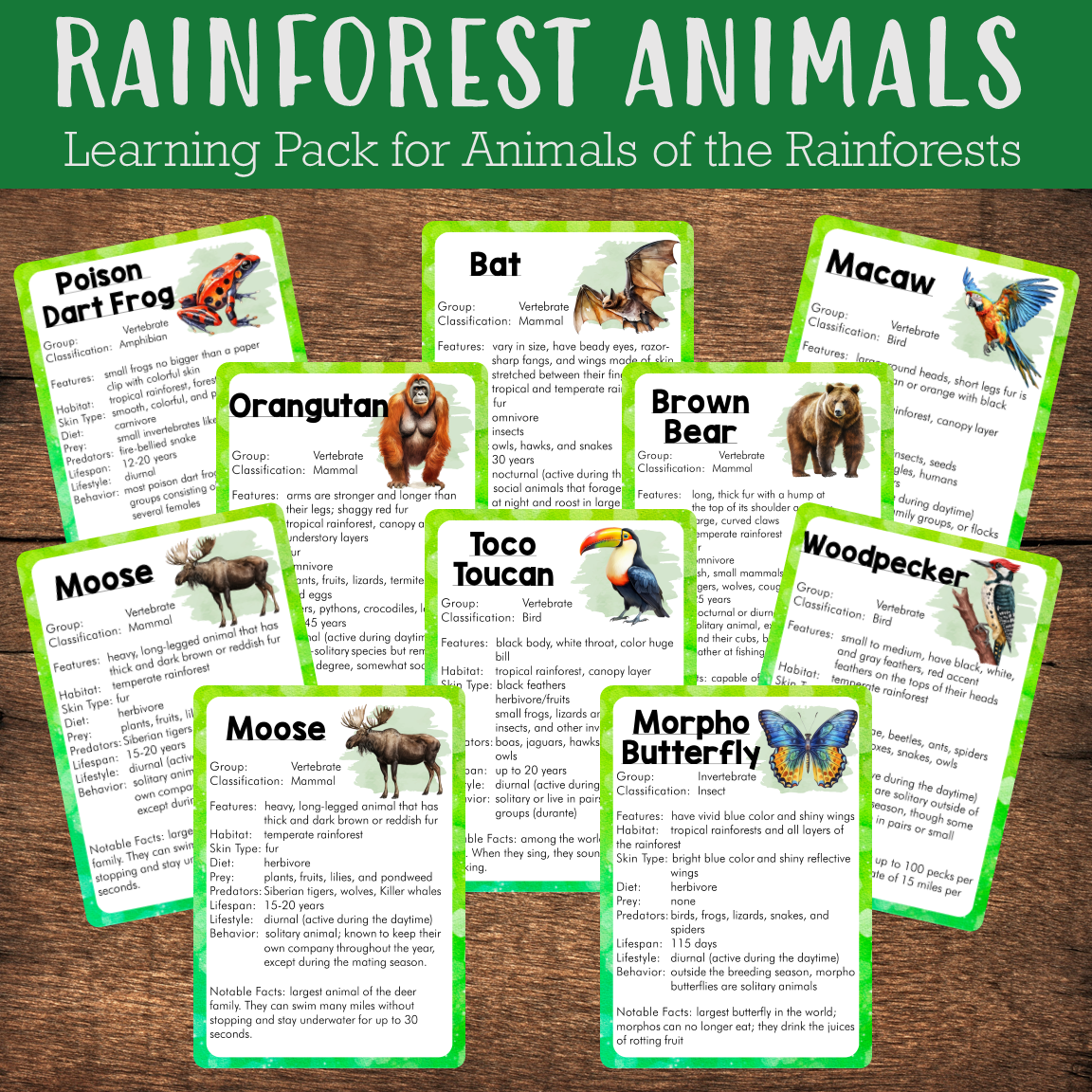 Animals of the Rainforests