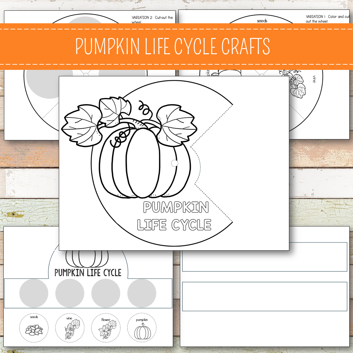 Pumpkin Life Cycle Set - Preschool & Kindergarten