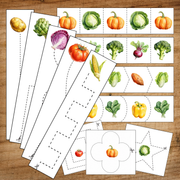 FREE Vegetable Scissor Skills Cutting Strips