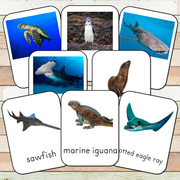 Montessori Endangered Marine Species Toob 3 Part Cards [EDITABLE]