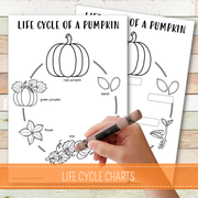 Pumpkin Life Cycle Coloring Charts