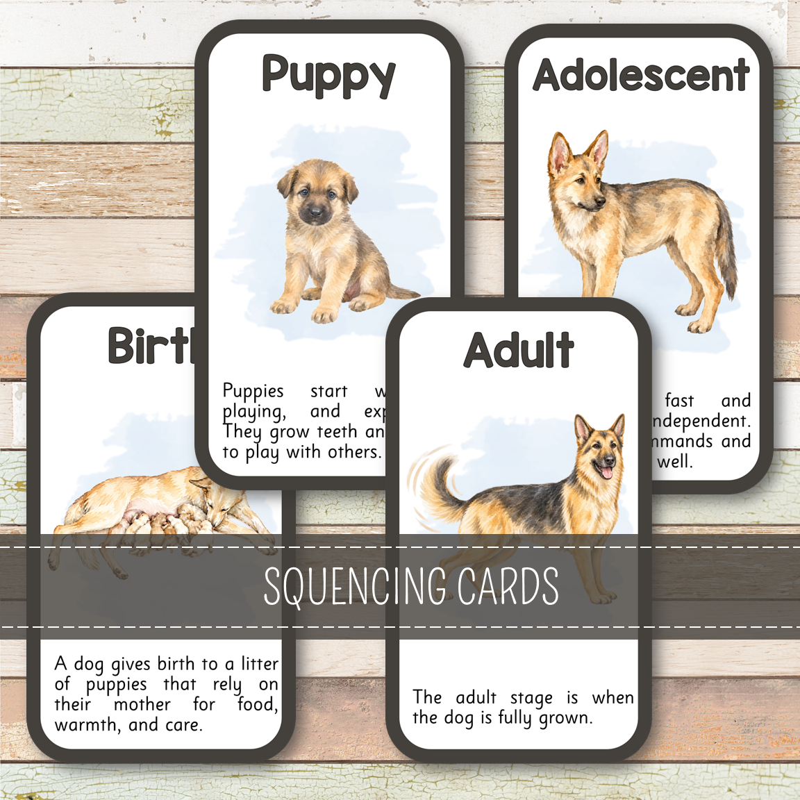 Dog Life Cycle - Montessori Inspired