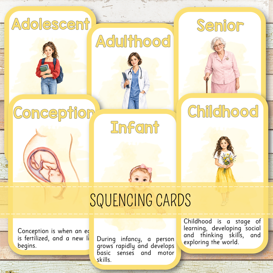 Human Female Life Cycle - Montessori Inspired