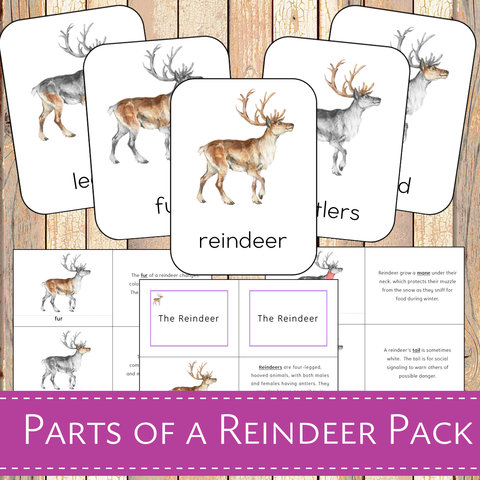 Montessori Parts of a Reindeer Learning Pack