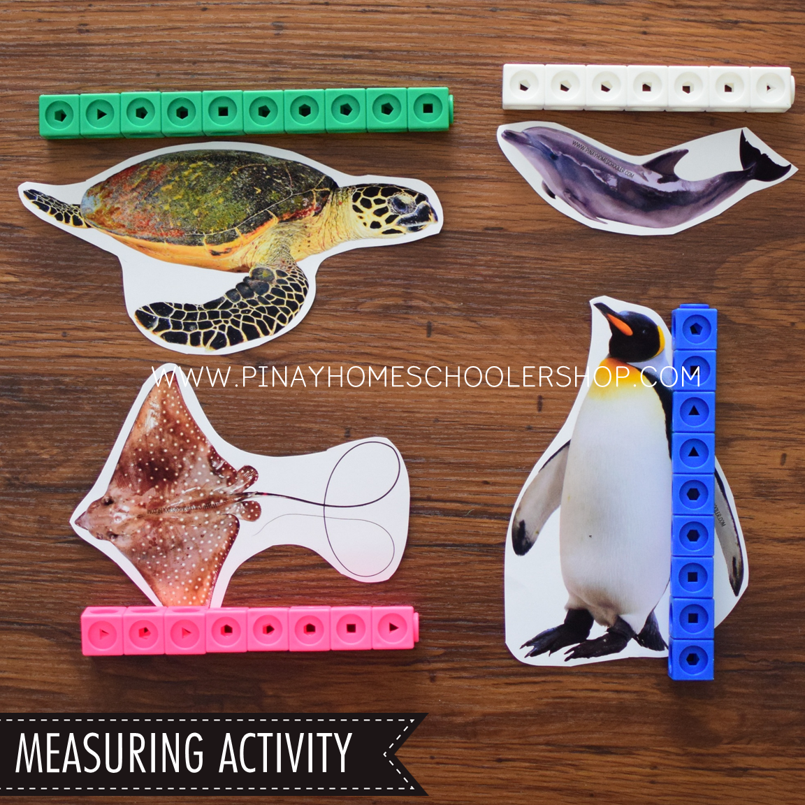 Ocean Animals Activity Pack - Safari Toob