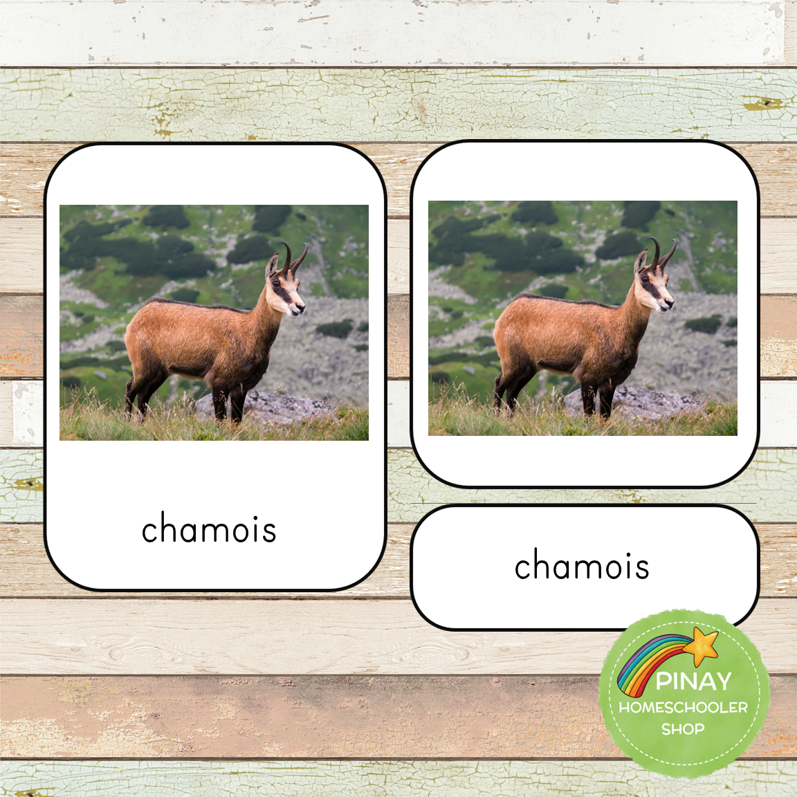 Safari Toob European Animals 3 Part Cards