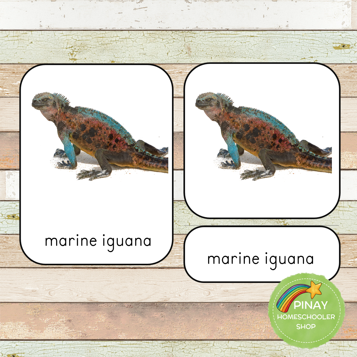 Montessori Endangered Marine Species Toob 3 Part Cards [EDITABLE]