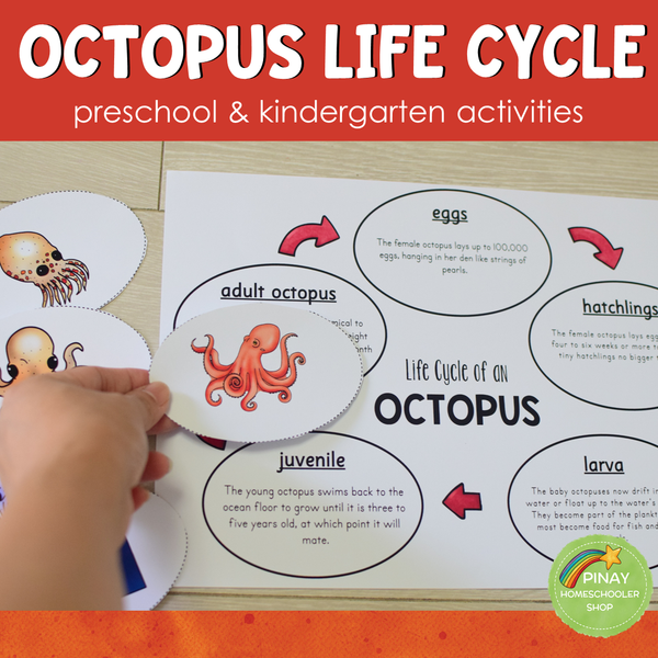 Octopus Life Cycle - Preschool & Kindergarten Science Centers