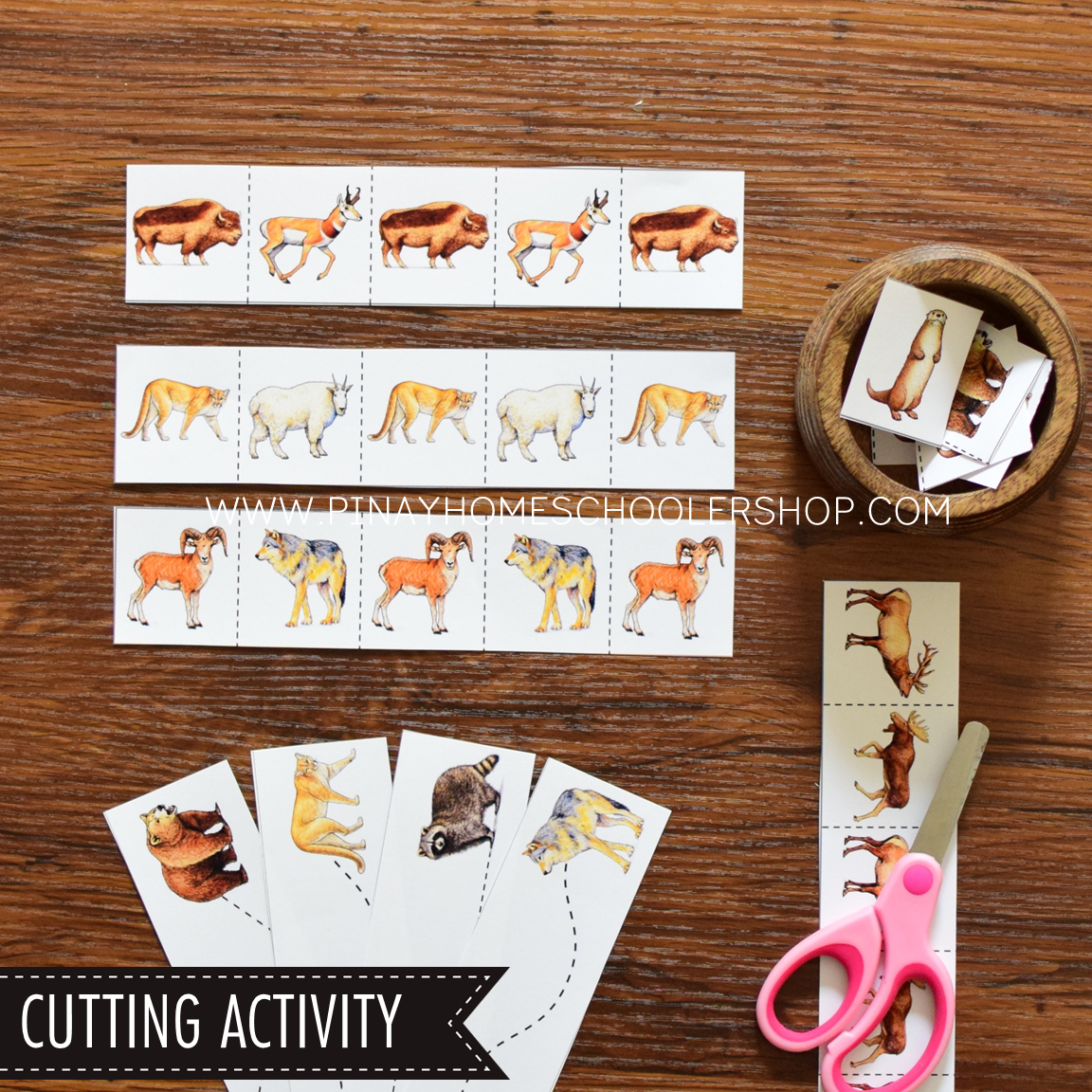 North America Toob Activity Pack - Safari Toob