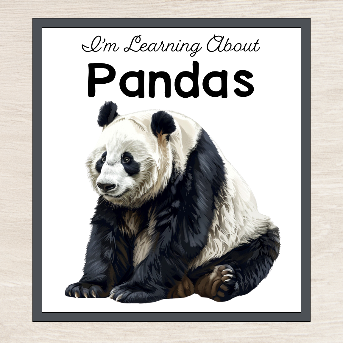 Learning Panda Learning About Pandas - Fact Cards and Photos – Pinay Homeschooler Shop