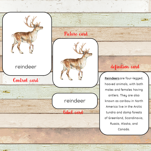 Montessori Parts of a Reindeer Learning Pack