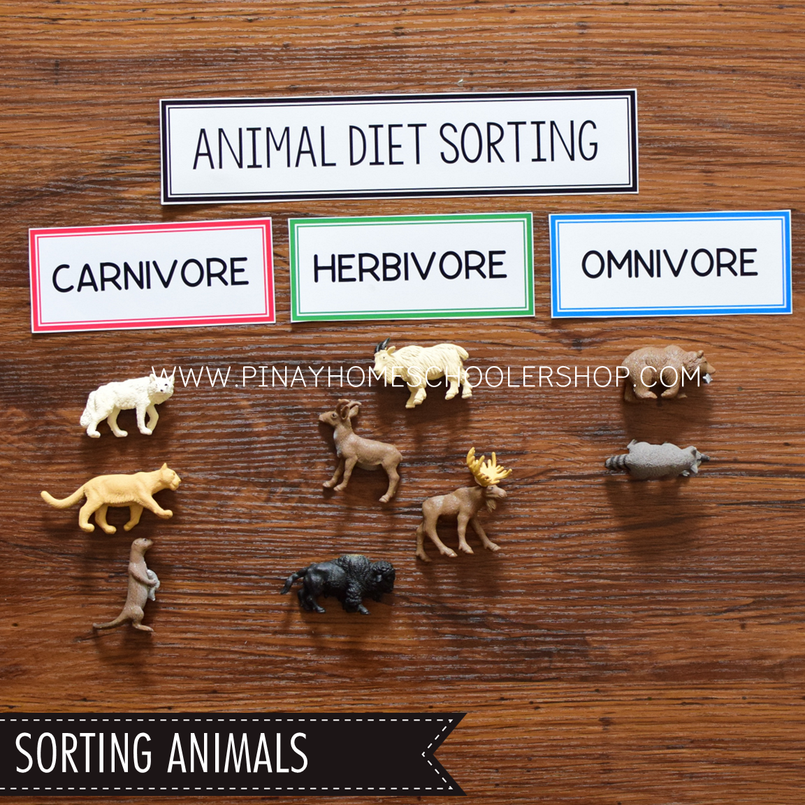 North America Toob Activity Pack - Safari Toob