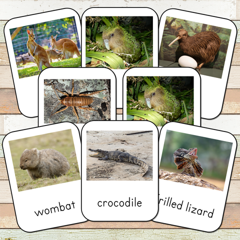 Montessori Australian Continent Animals Toob 3 Part Cards