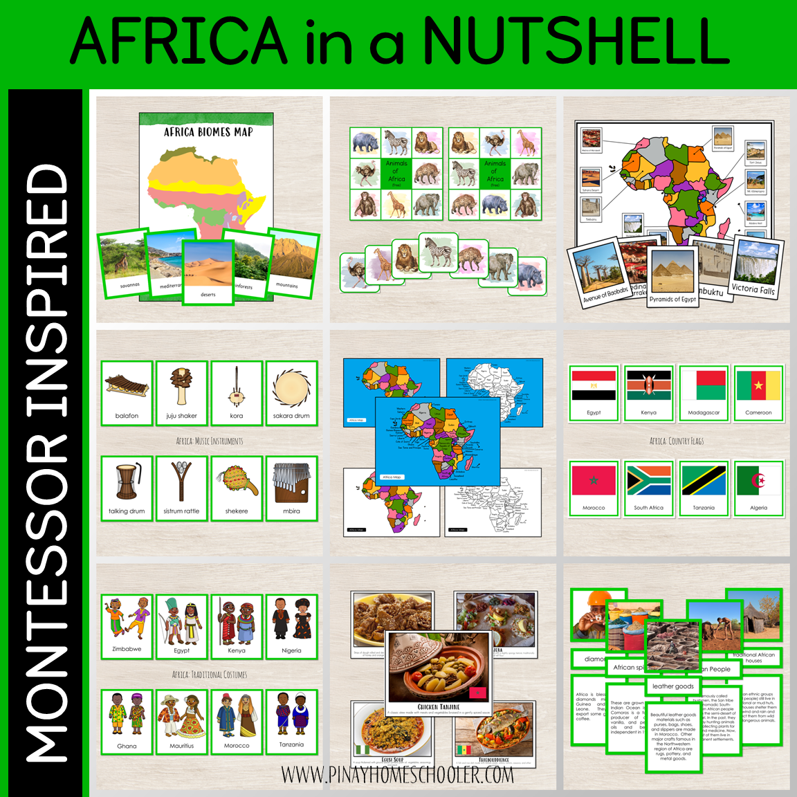 Africa in a Nutshell