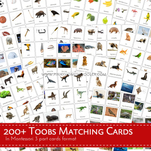 300+ Safari Toobs Montessori Cards Bundle