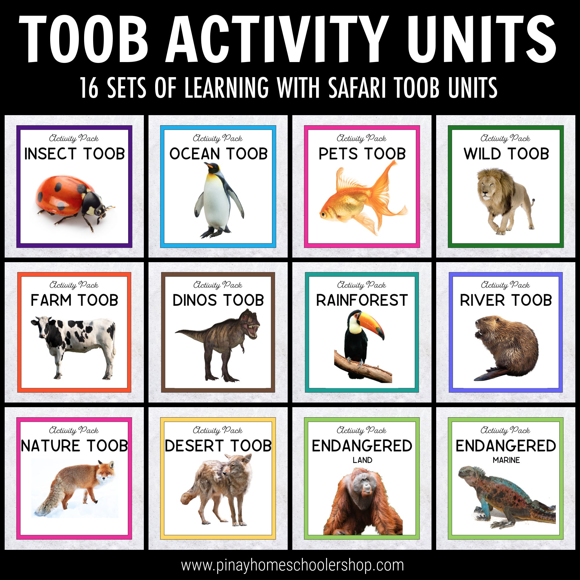 Animal Study Safari Toobs Activity Learning BUNDLE