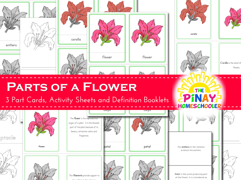 Montessori Parts of a Flower – Pinay Homeschooler Shop