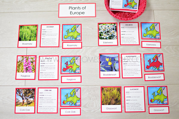 Plants of Europe Montessori 3 Part Cards