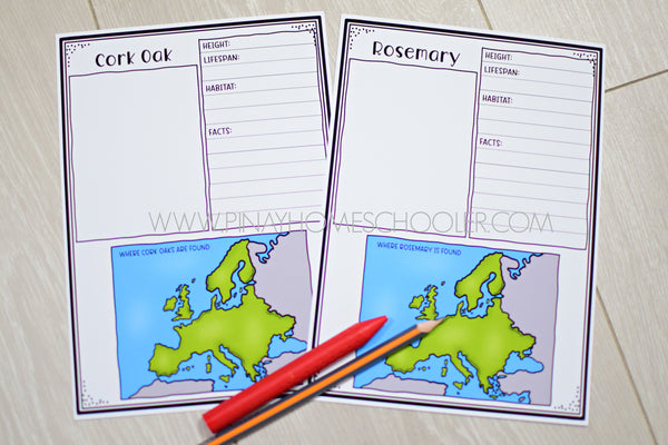 Plants of Europe Montessori 3 Part Cards