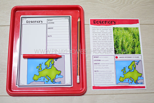 Plants of Europe Montessori 3 Part Cards