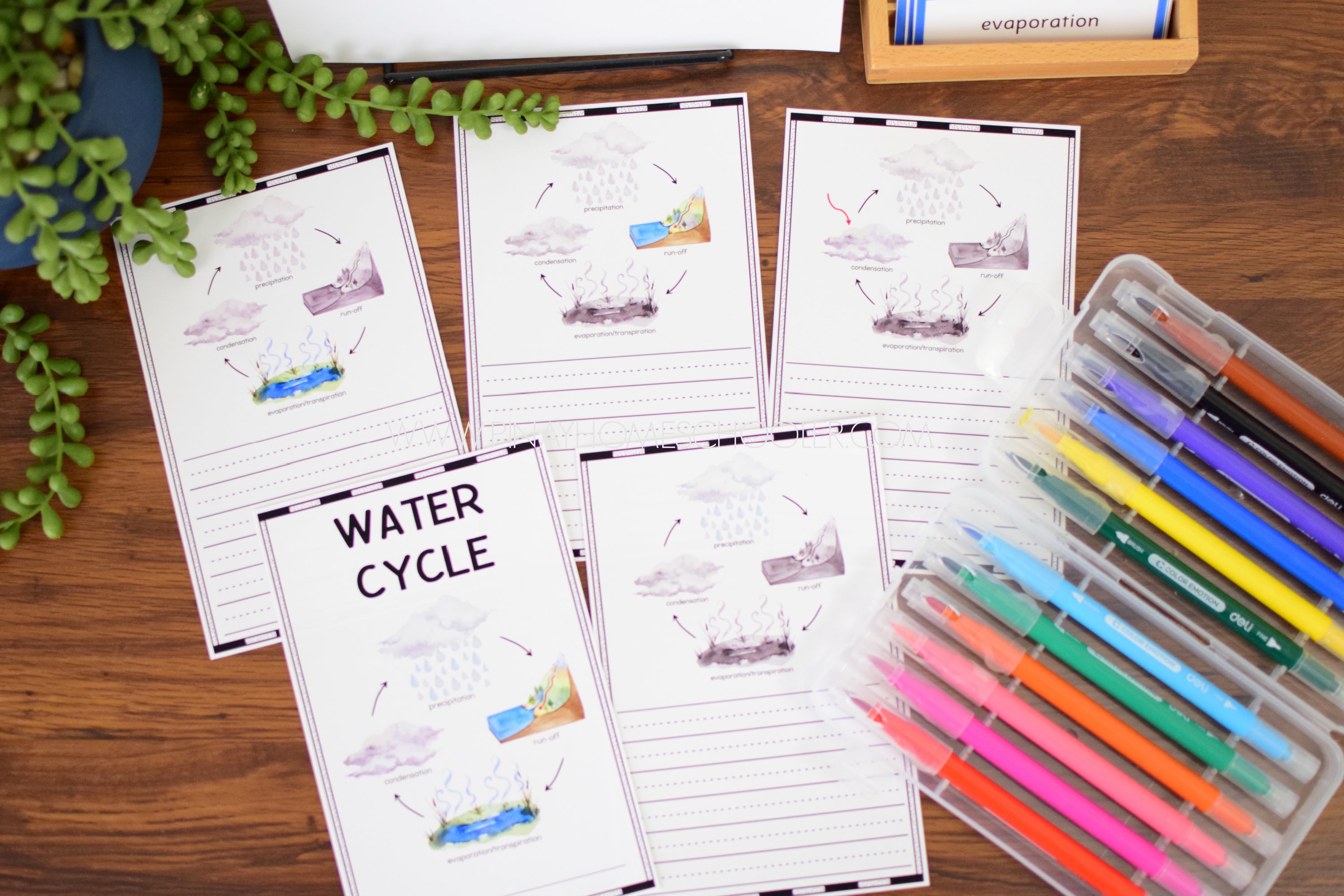 Water Cycle Montessori Inspired