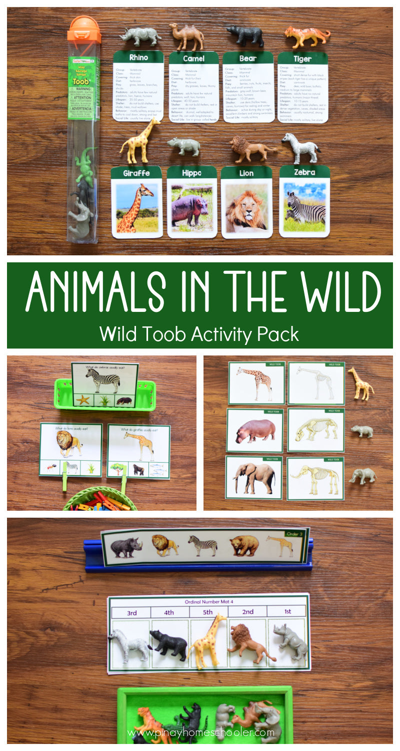 Wild Toob Activity Pack - Safari Toob