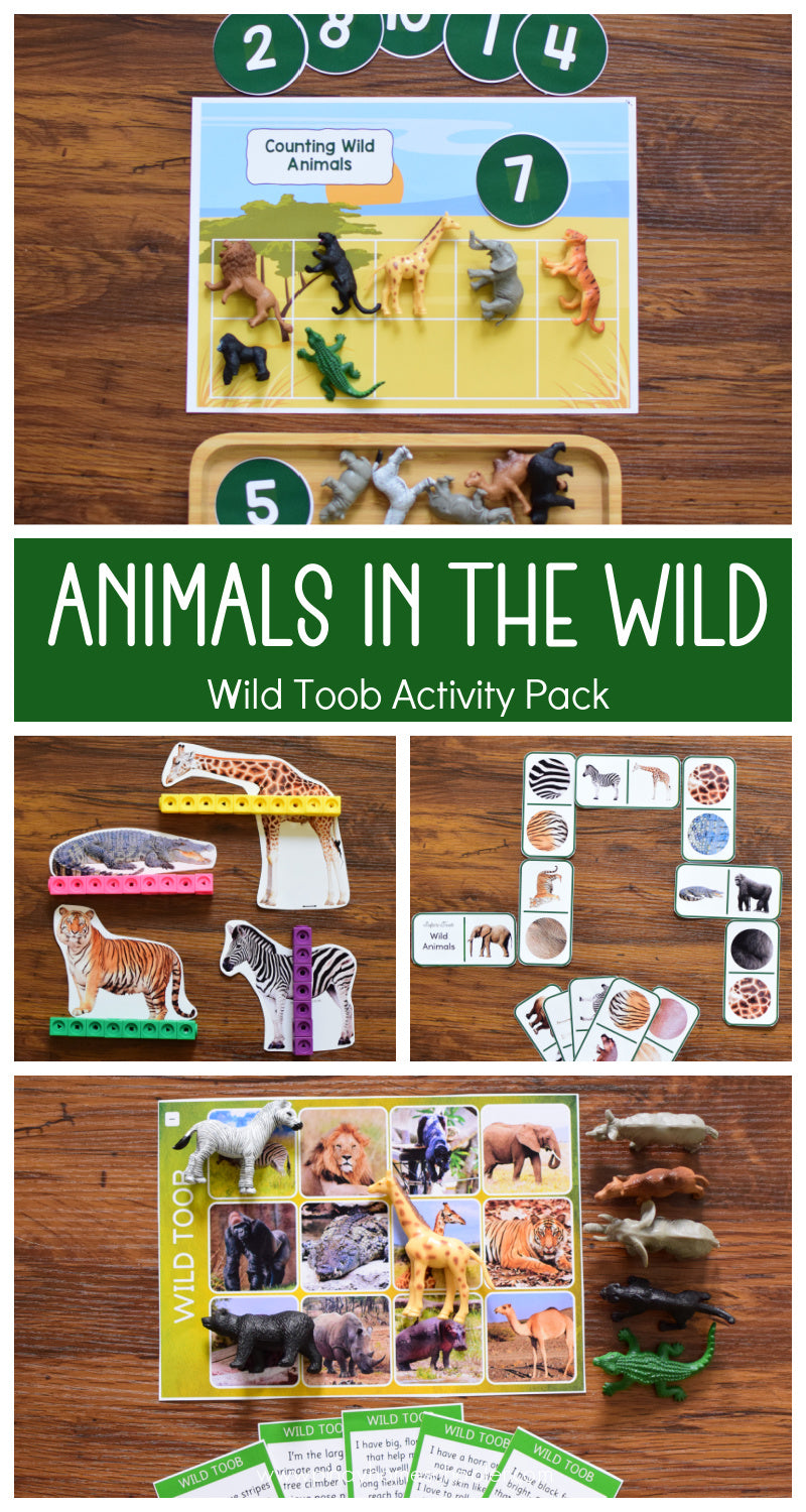 Wild Toob Activity Pack - Safari Toob