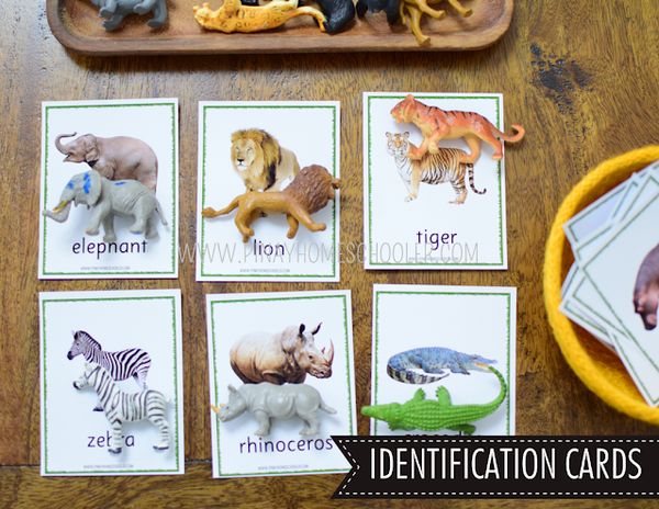 Safari Toob Wild Animals Preschool Kindergarten Learning Pack