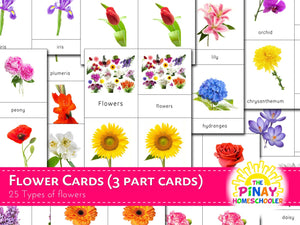 Montessori Flower 3 Part Cards