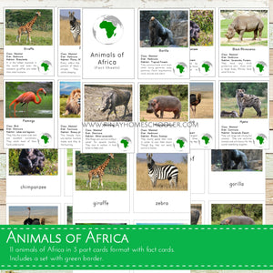 Animals of Africa Montessori  3 Part Cards with Fact Cards
