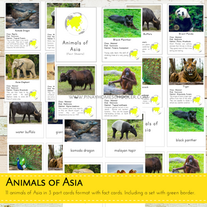 Animals of Asia Montessori  3 Part Cards and Fact Cards
