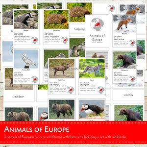 Animals of Europe Montessori 3 Part Cards and Fact Cards