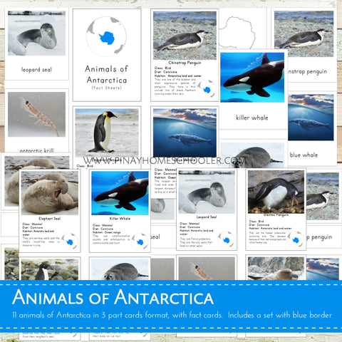 Animals of Antarctica Montessori 3 Part Cards and Fact Cards