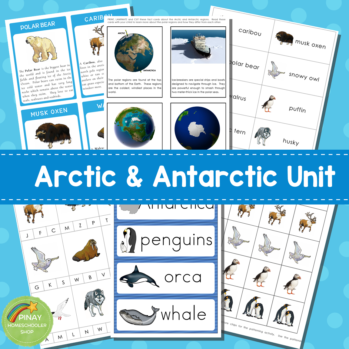 Arctic and Antarctic Preschool and Kindergarten Mini Unit Activities