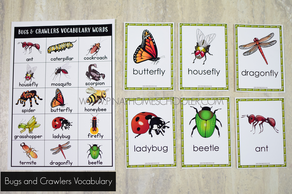 Bugs and Creepy Crawlers Math and Literacy Centers