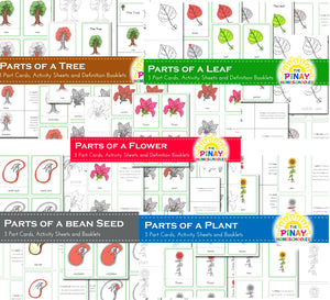 Botany - Plant Bundle Pack Montessori Cards