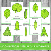 Leaf Shapes Montessori 3 Part Cards
