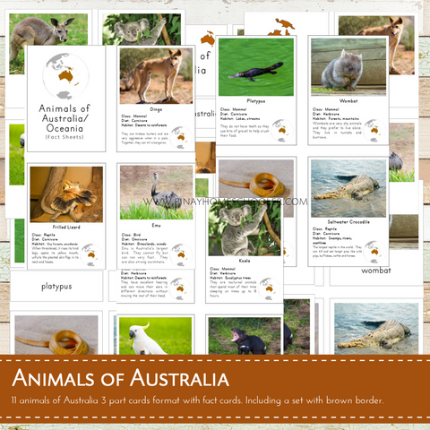 Animals of Australia Montessori 3 Part Cards and Fact Cards