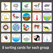 Montessori Vertebrate Characteristics Learning Pack