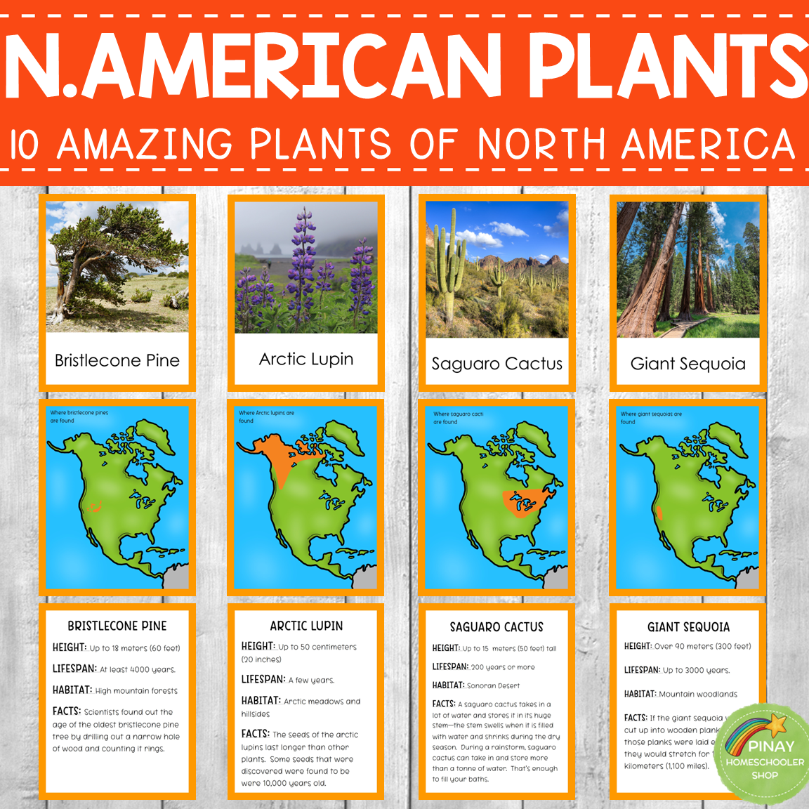Plants Around the World Bundle Pack (COMPLETE)