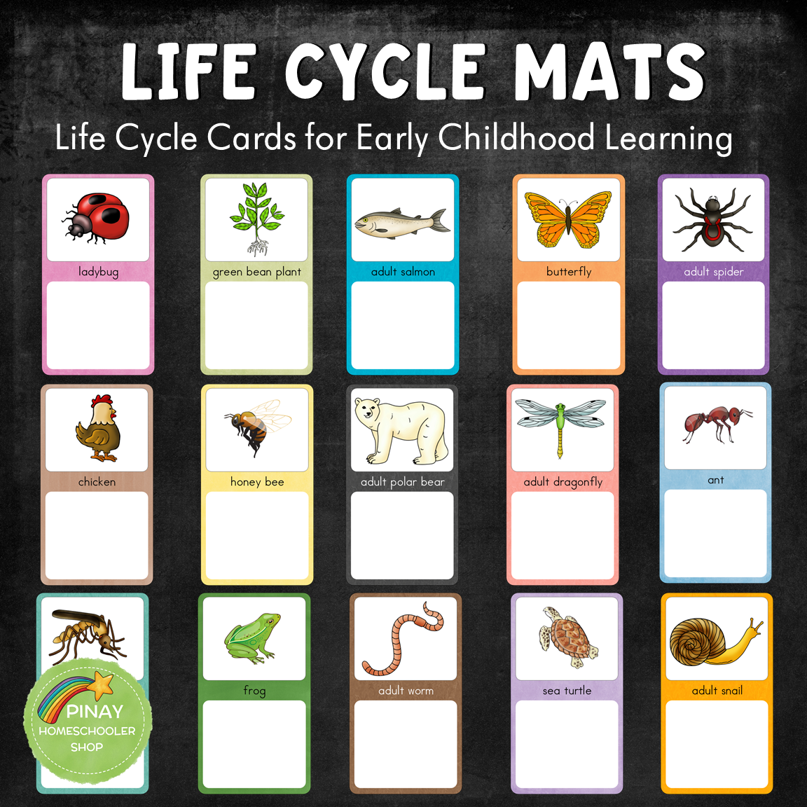 Early Childhood Life Cycle Mats