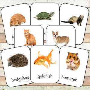 Montessori Pets Toob 3 Part Cards [EDITABLE]
