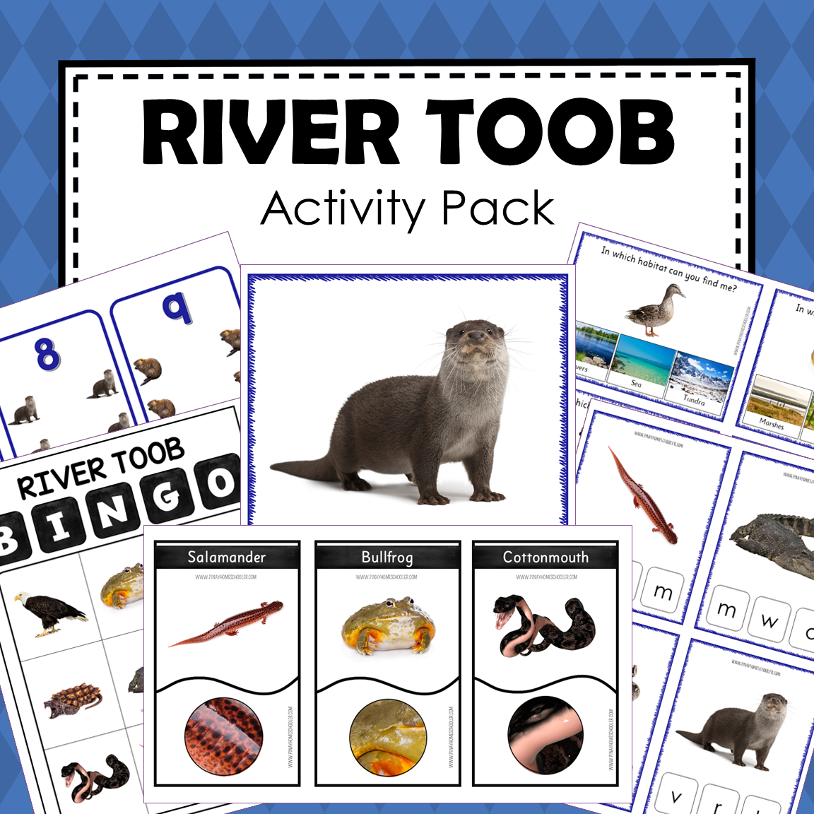 Safari Toob River Preschool Kindergarten Activity Pack