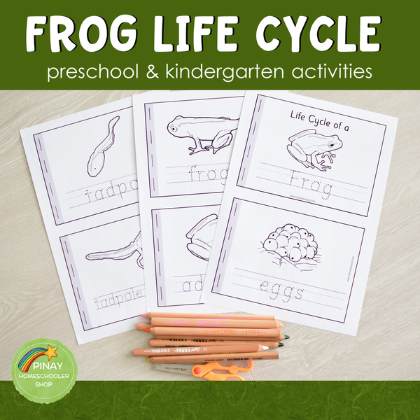 Frog Life Cycle Activity Set -Preschool & Kindergarten Science Centers