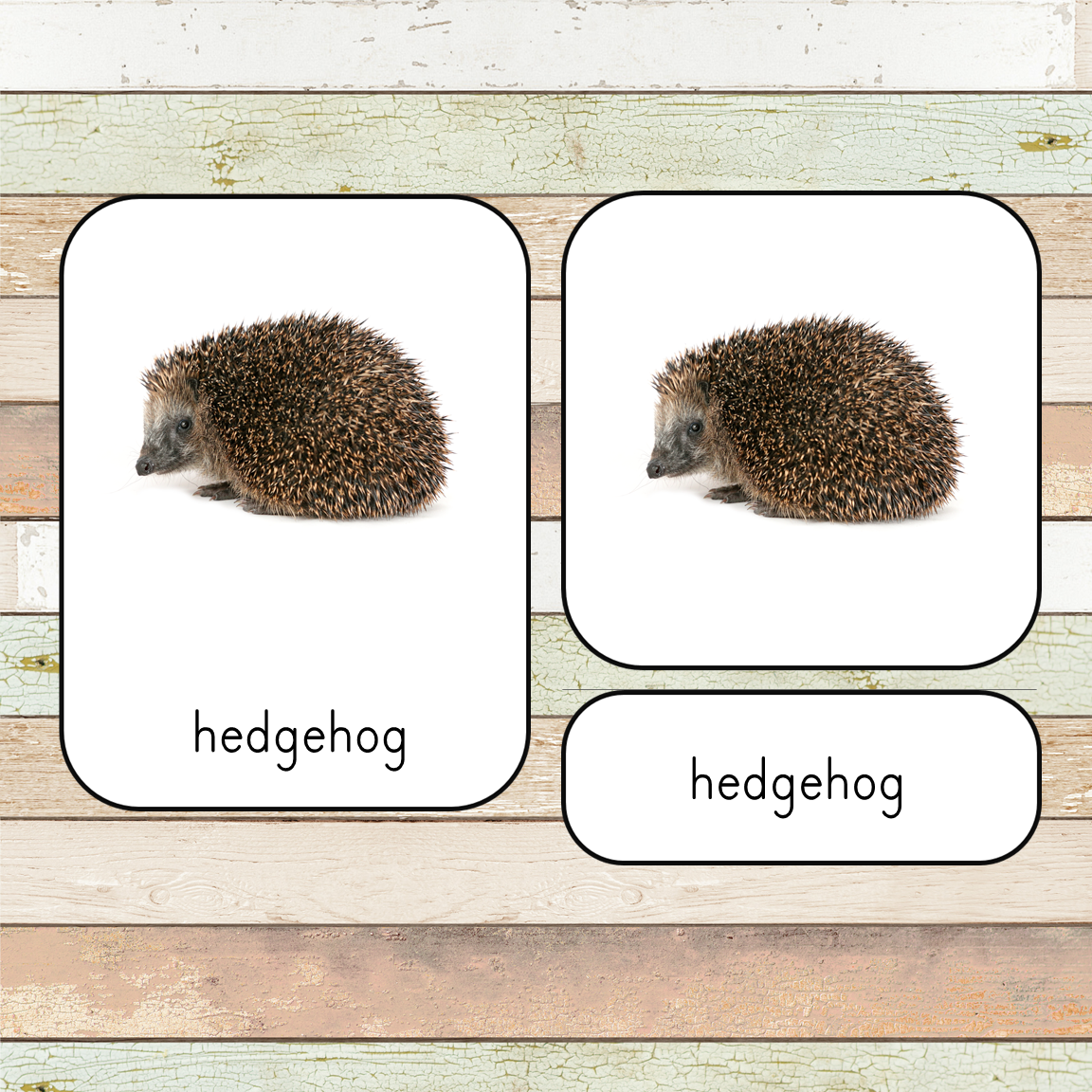 Montessori Pets Toob 3 Part Cards [EDITABLE]