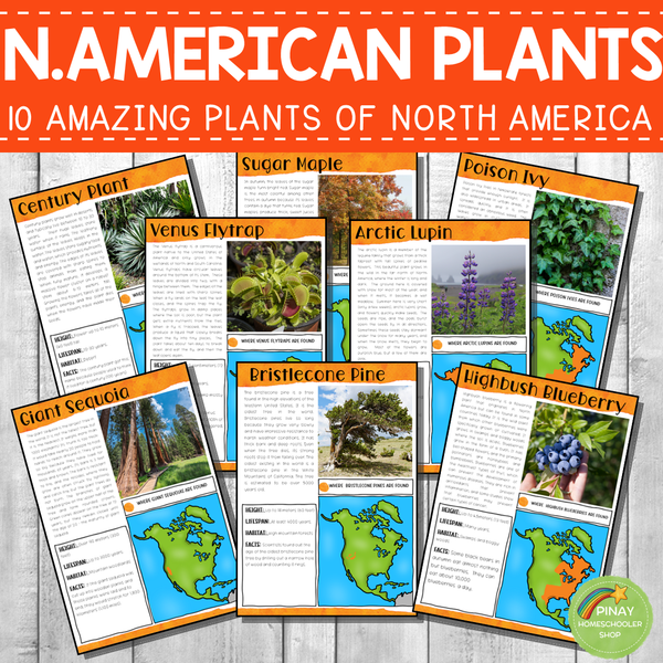Plants of North America Montessori 3 Part Cards